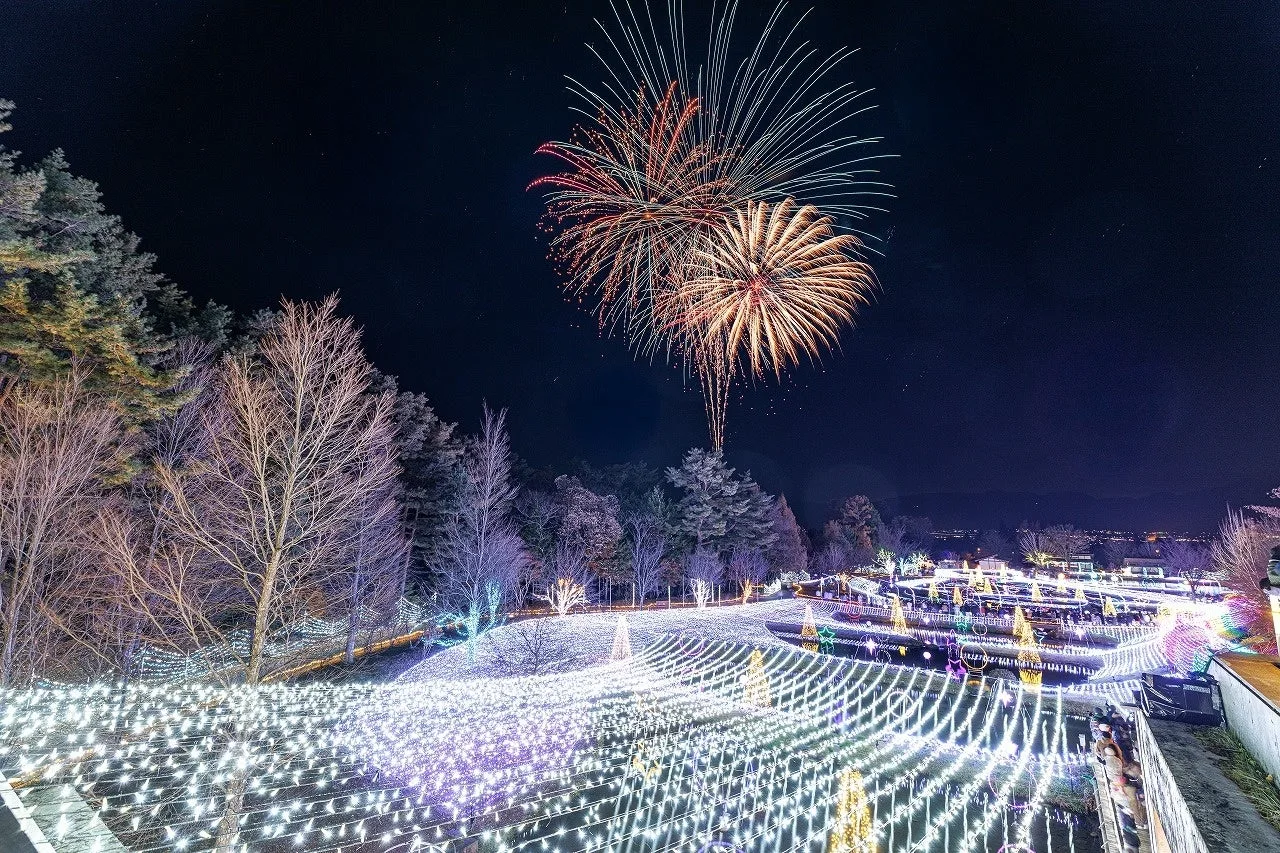 Winter Illumination 2026 AZUMINO BLOOM|主催者掲載のイルミネーション画像