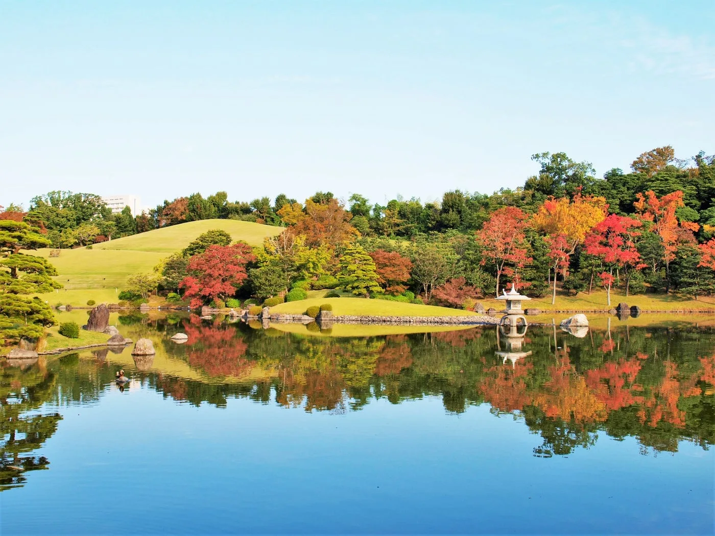 万博記念公園 紅葉まつり2026｜主催・運営者の公式発表掲載画像