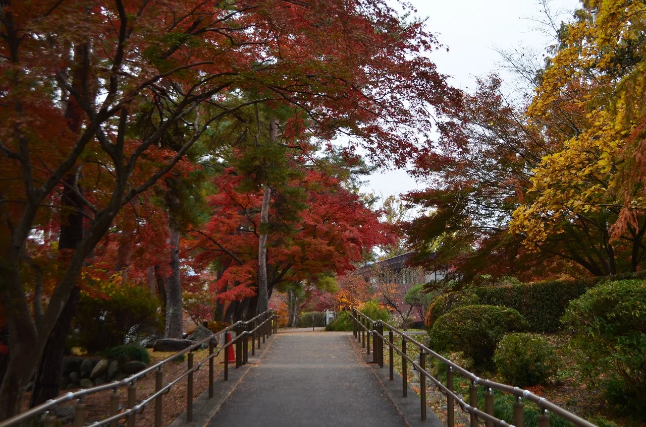 長瀞紅葉まつり2026|月の石もみじ公園ライトアップ|主催者掲載写真(過去の様子)