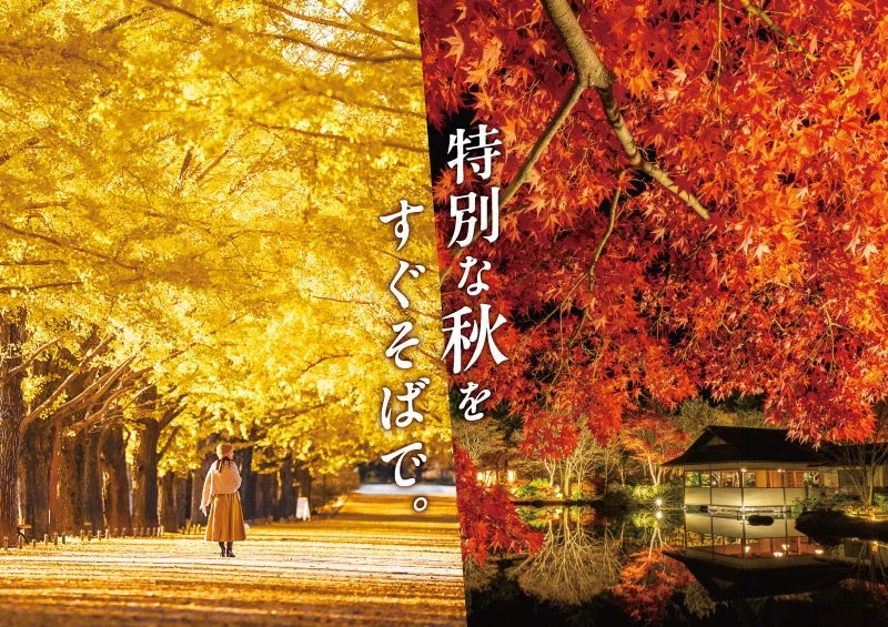 黄葉・紅葉まつり＆秋の夜散歩2026｜主催・運営者の公式発表掲載画像