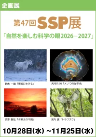 第47回SSP展「自然を楽しむ科学の眼2026－2027」｜主催者掲載の企画展画像